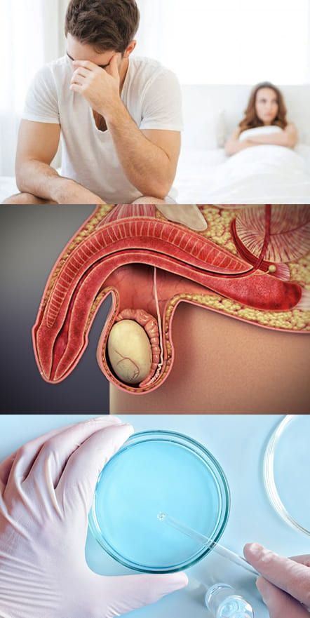 Natural Indian remedy for male vitality Libidex-promo